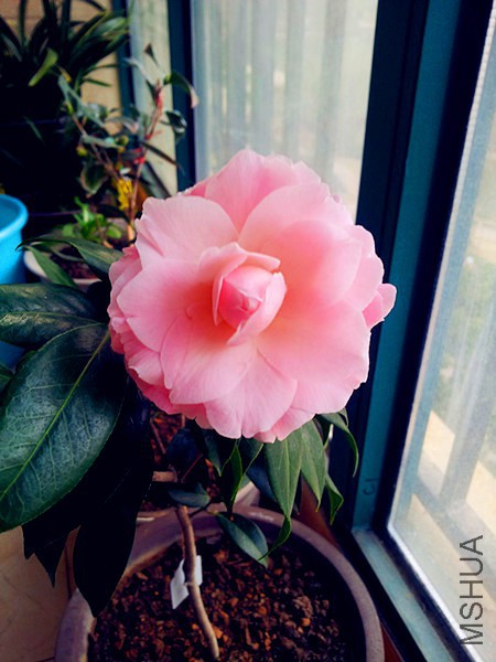 20160224_075829.jpg