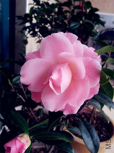 20160302_074854.jpg