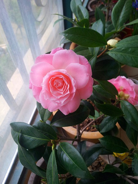 20160305_082516.jpg