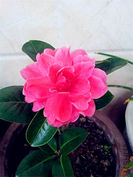 20160224_075905.jpg
