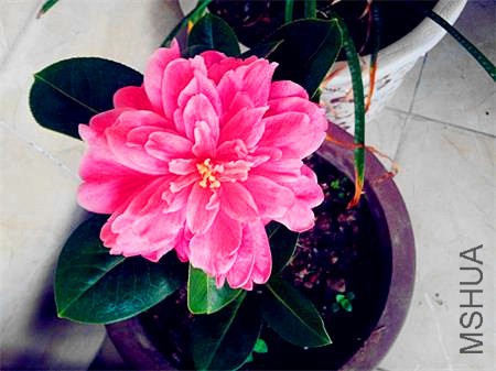 20160226_081005.jpg