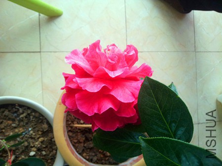 20160305_082940.jpg
