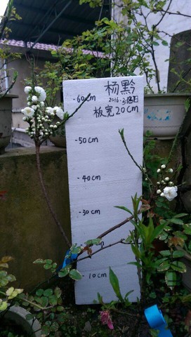 QQͼƬ20160318143135.jpg