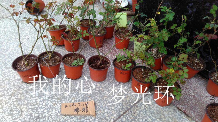 QQͼƬ20160318152336.jpg