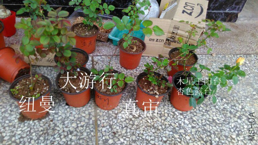 QQͼƬ20160318152341.jpg