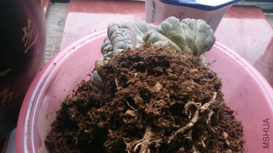 QQͼƬ20160318180819.jpg