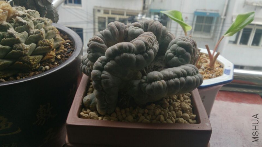 QQͼƬ20160318180826.jpg