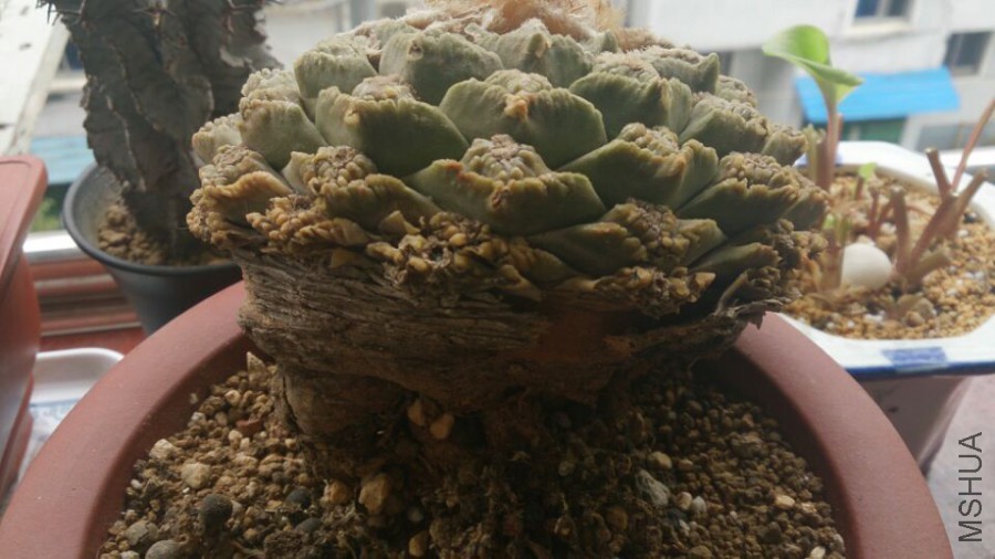 QQͼƬ20160318180834.jpg