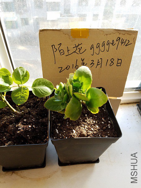 20160319_154639.jpg