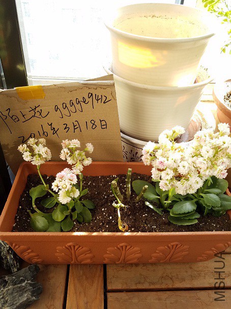 20160319_154757.jpg