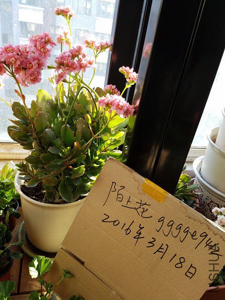 20160319_154813.jpg