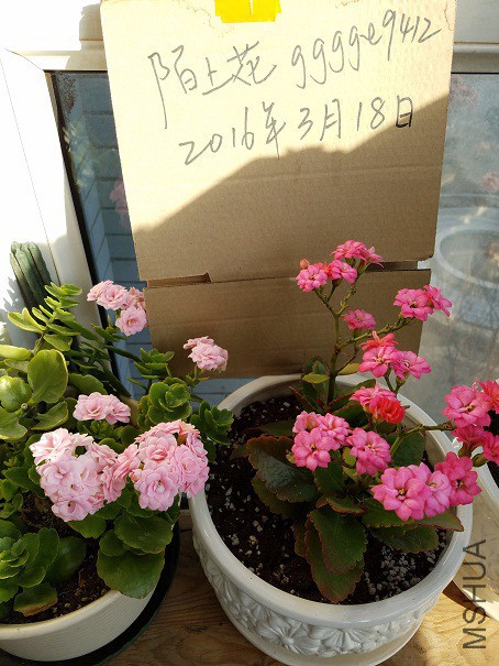 20160319_154826.jpg