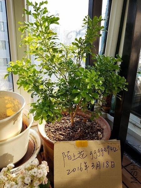 20160319_155924.jpg