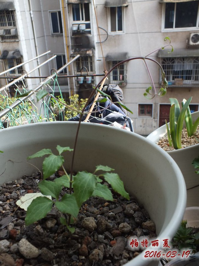 16.3.19 003_����.jpg