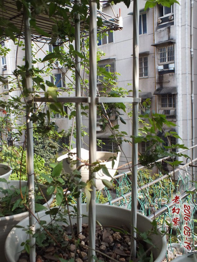 16.3.19 004_����.jpg