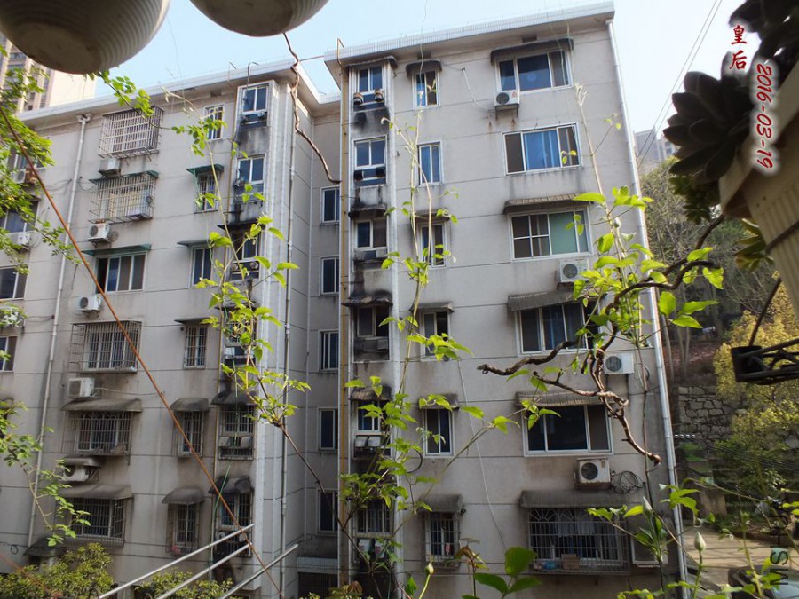 16.3.19 006_����.jpg