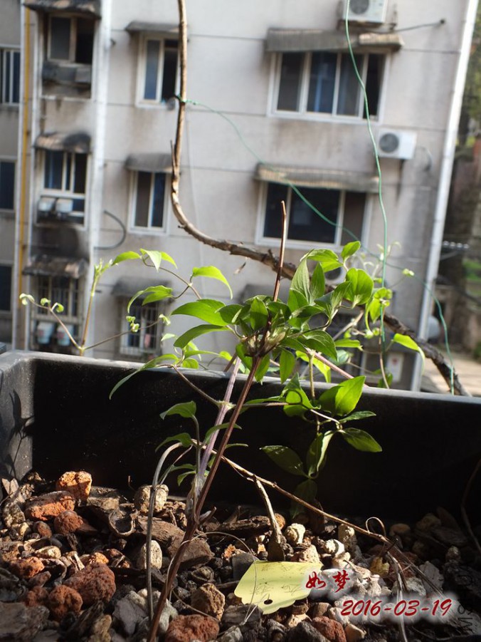 16.3.19 008_����.jpg