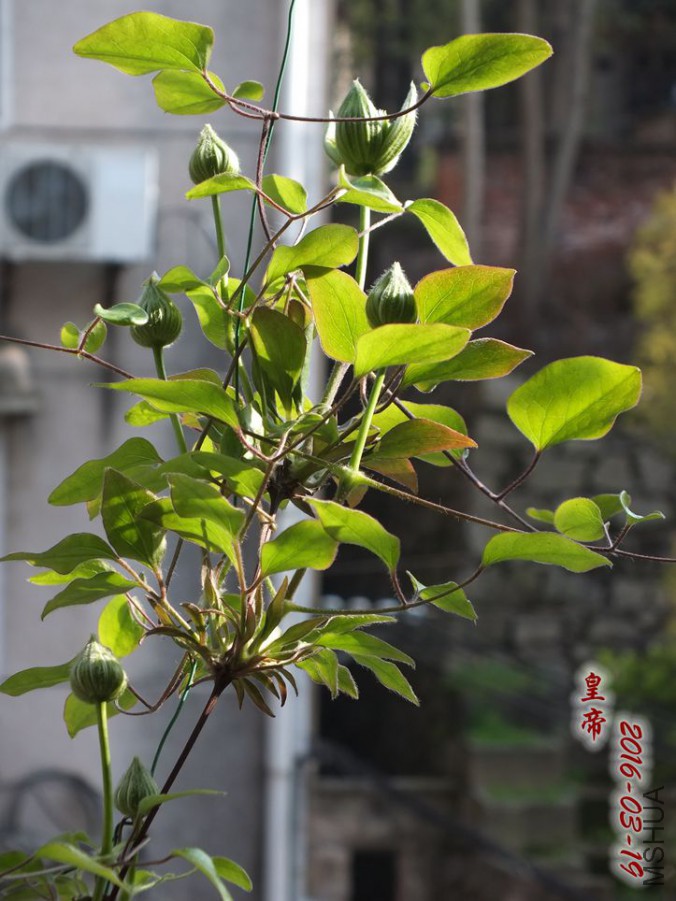 16.3.19 010_����.jpg