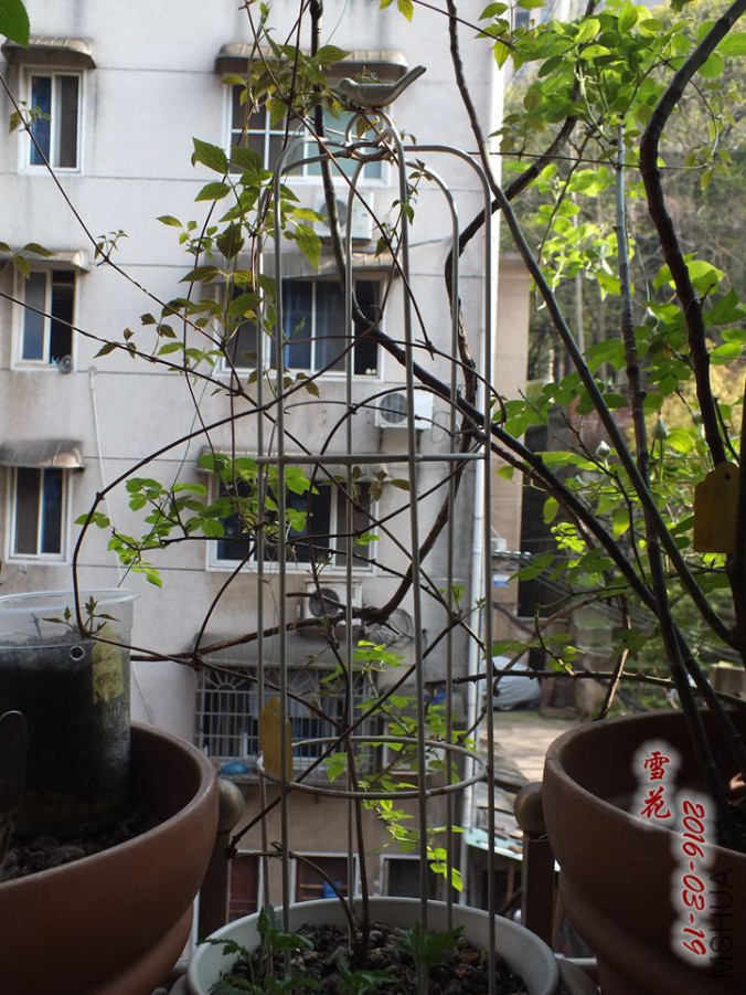 16.3.19 013_����.jpg