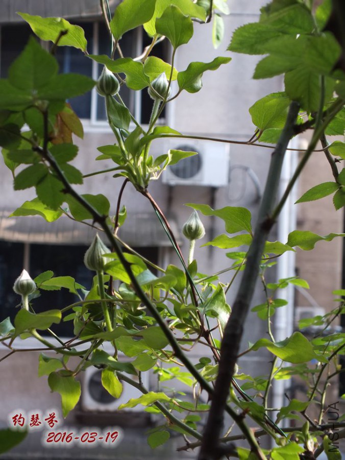 16.3.19 014_����.jpg