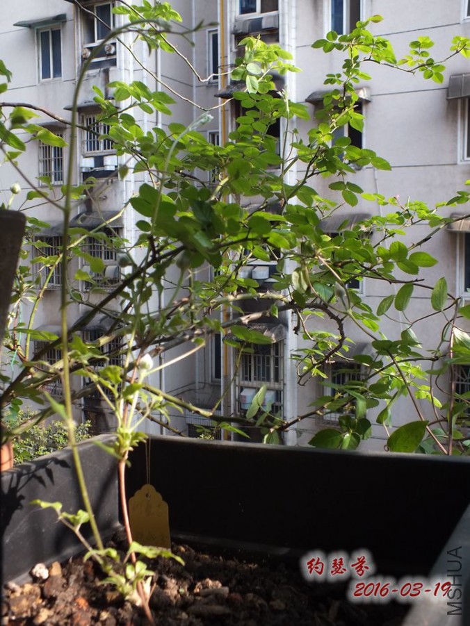 16.3.19 015_����.jpg