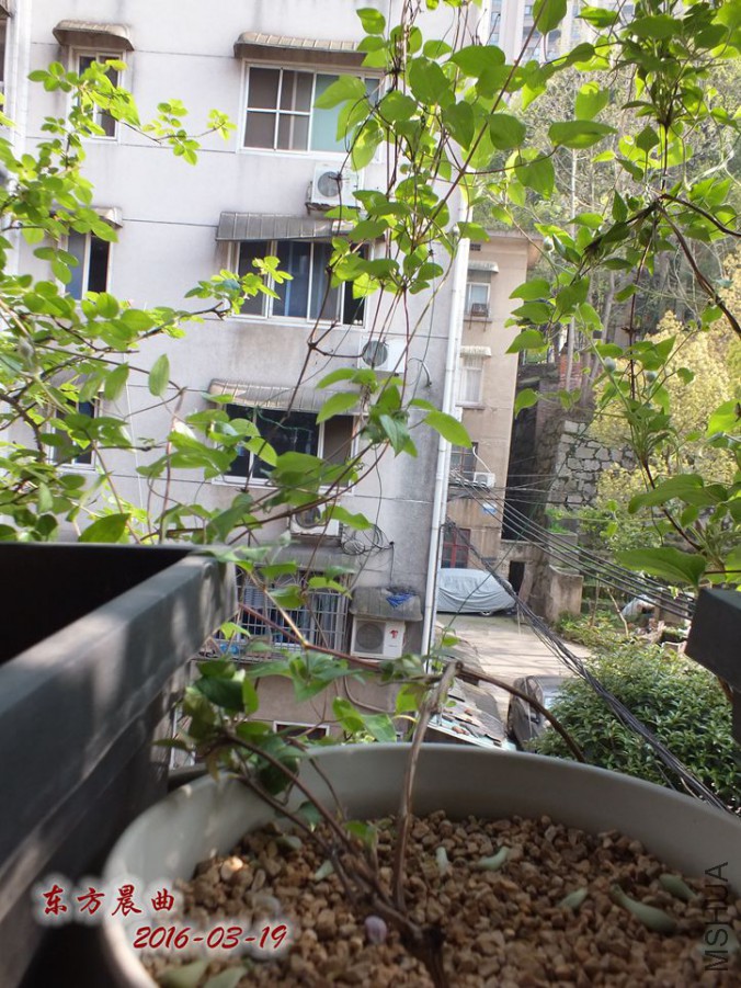 16.3.19 016_����.jpg