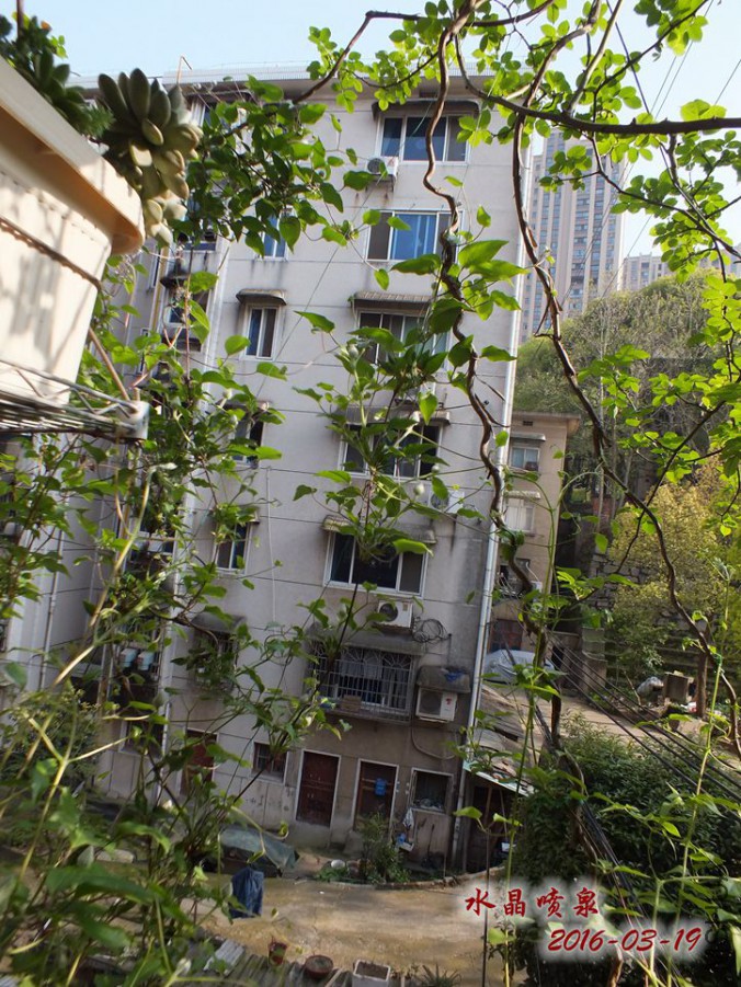 16.3.19 018_����.jpg