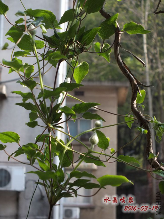 16.3.19 019_����.jpg