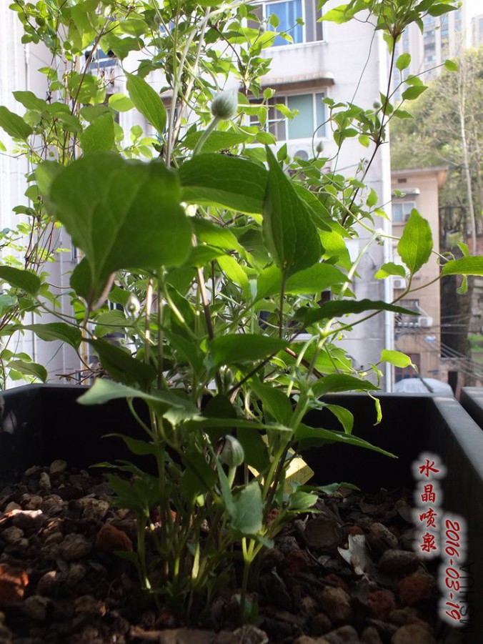 16.3.19 022_����.jpg