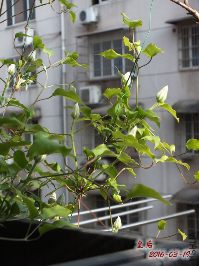 16.3.19 023_����.jpg