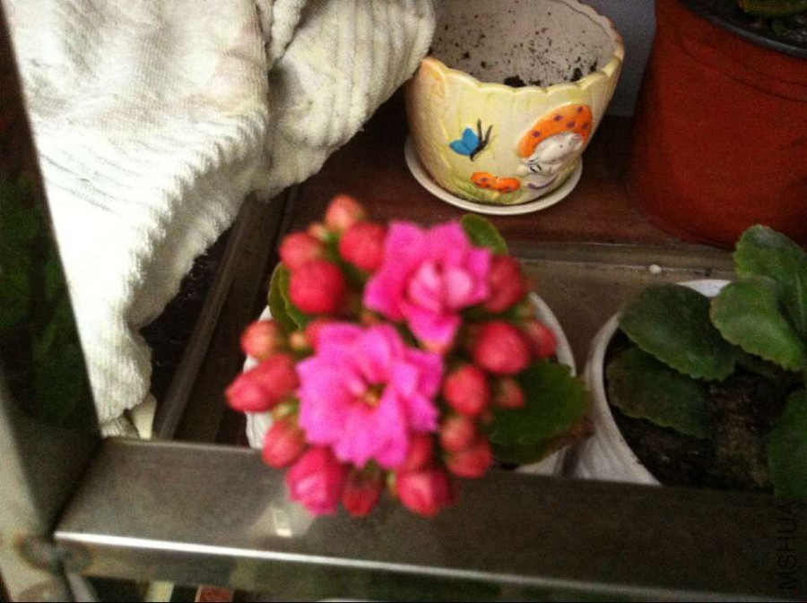 QQͼƬ20160319213533.jpg