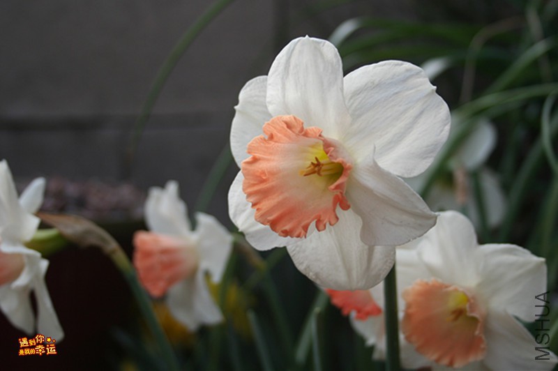 ��Ƭ 026_����.jpg