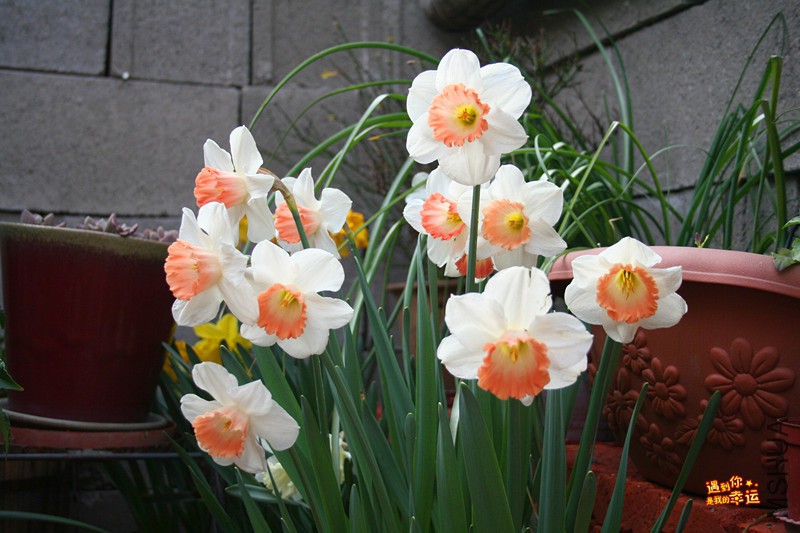 ��Ƭ 023_����.jpg