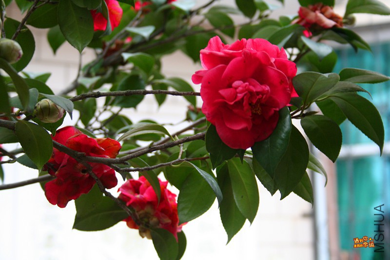 ��Ƭ 081_����.jpg