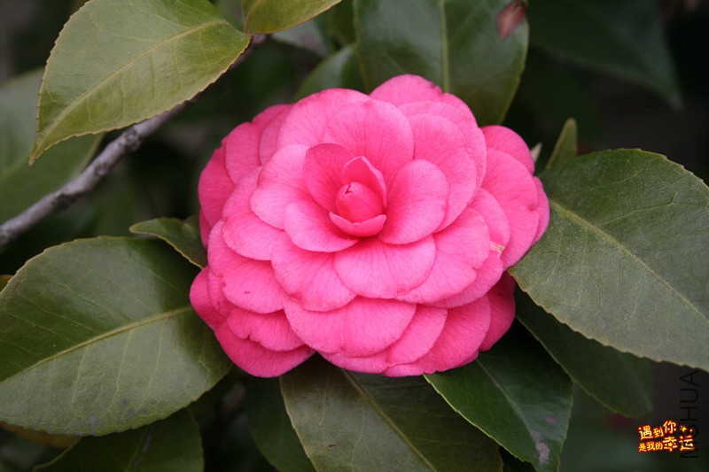 ��Ƭ 084_����.jpg