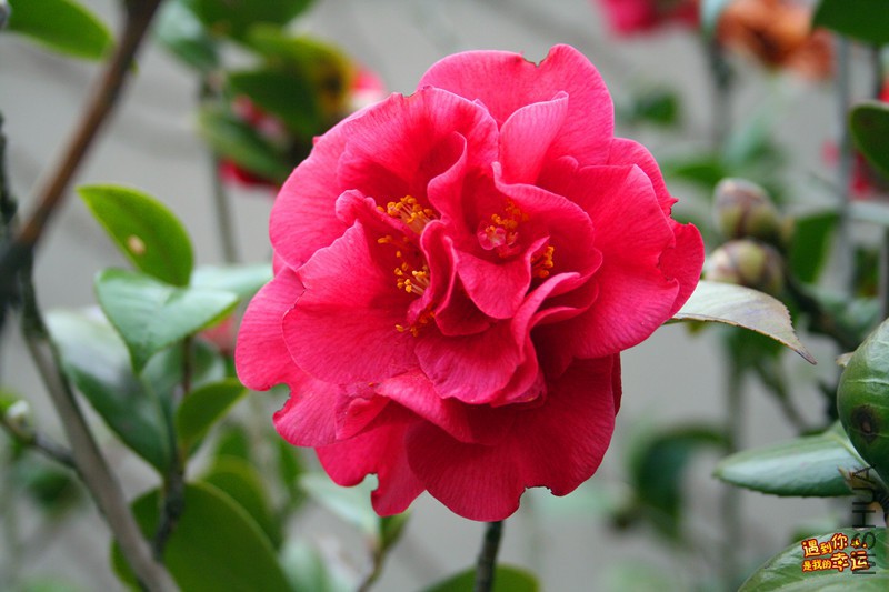 ��Ƭ 085_����.jpg