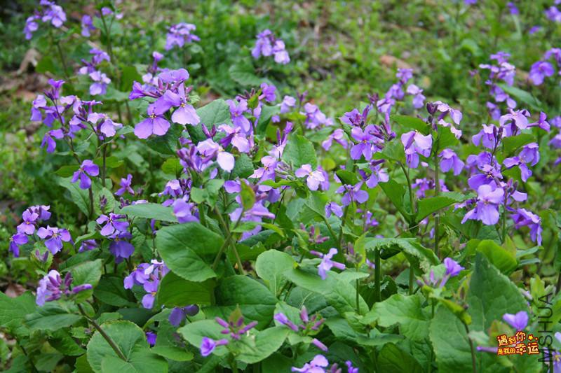 ��Ƭ 089_����.jpg