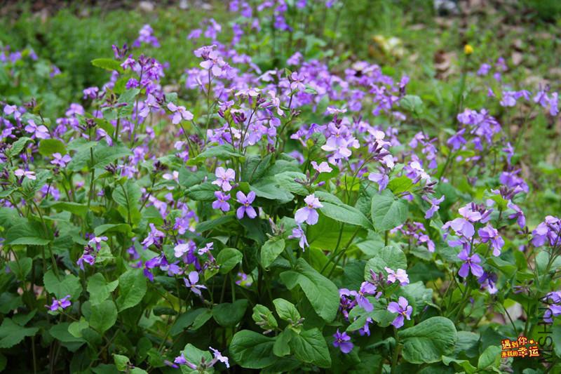 ��Ƭ 091_����.jpg