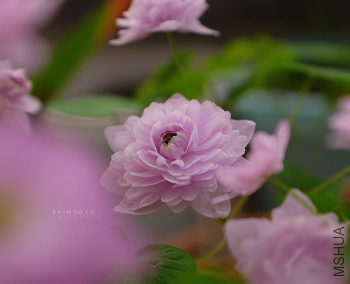 DSCF0804.JPG