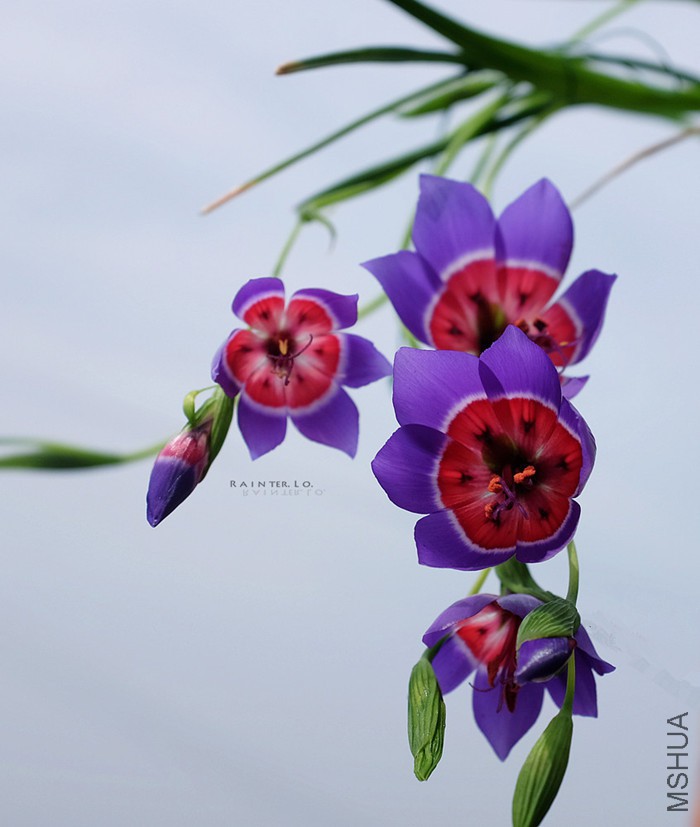 DSCF0840.jpg