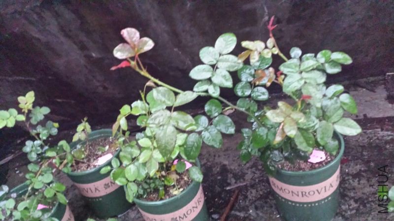 20160313_182139.jpg
