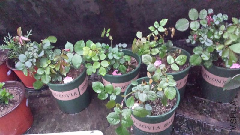 20160313_182153.jpg