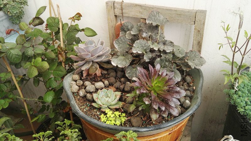 һ�����⣬��ϴ����