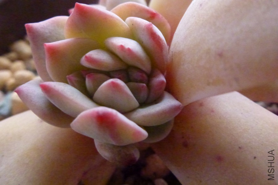 P1010441.JPG