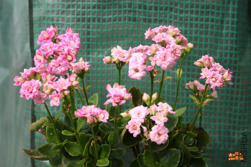 ��Ƭ 039_����.jpg