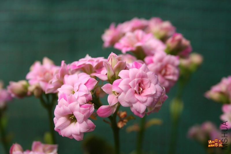 ��Ƭ 042_����.jpg