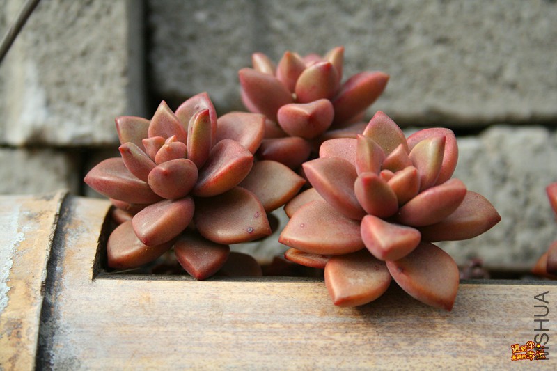 ��Ƭ 061_����.jpg