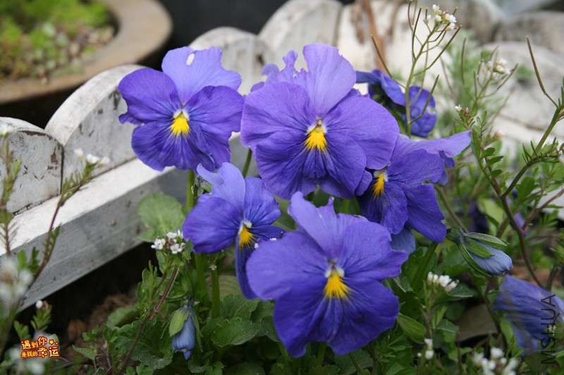 ��Ƭ 002_����.jpg