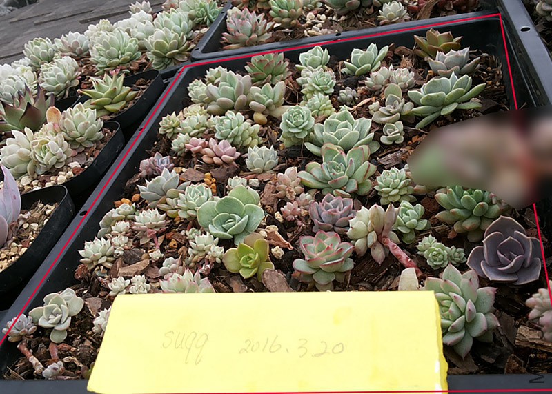 20160320_154747.jpg
