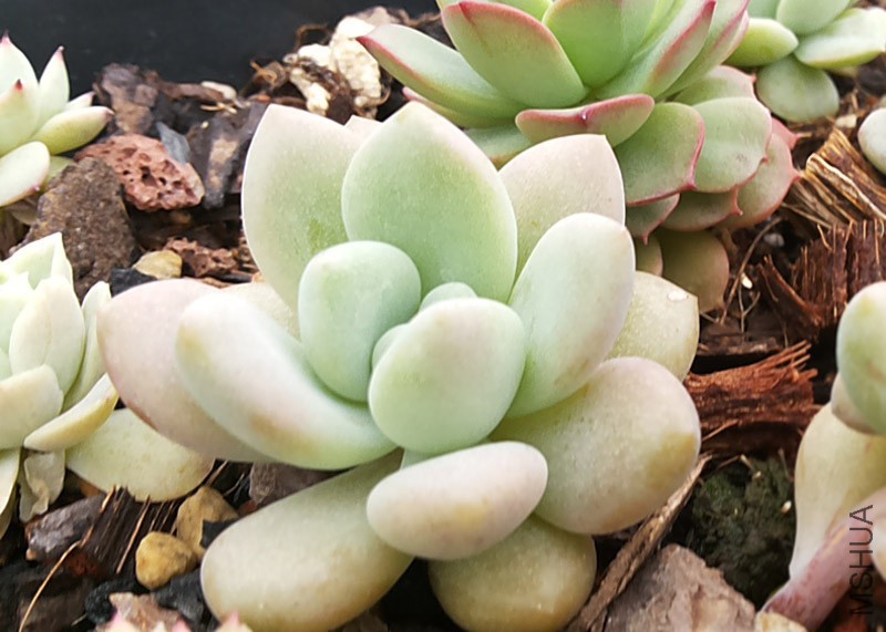 20160320_154814.jpg